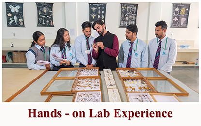 Hands-on Lab Experience